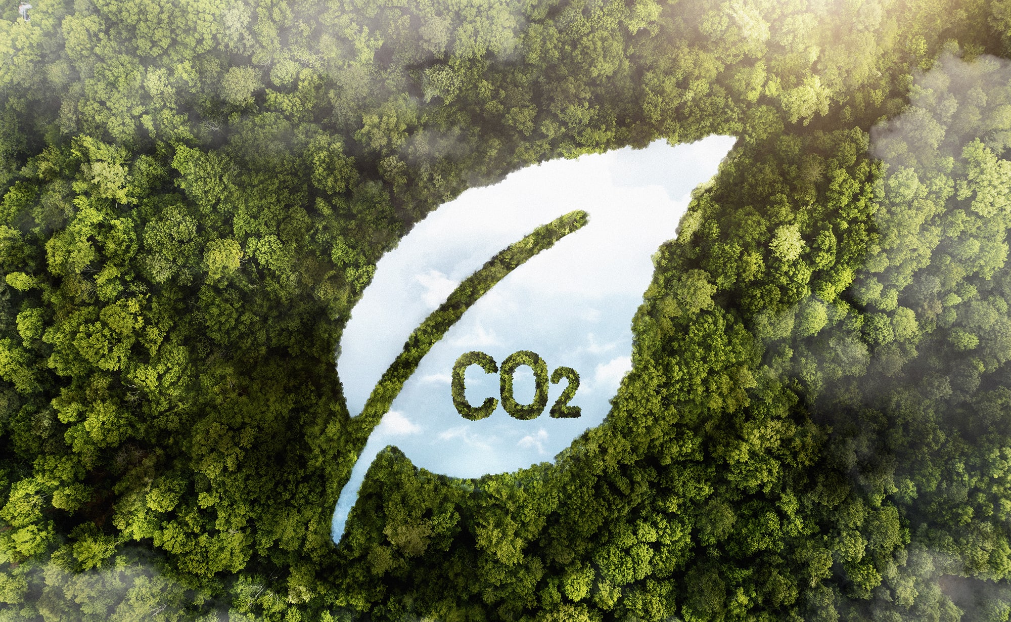 Mercados de carbono