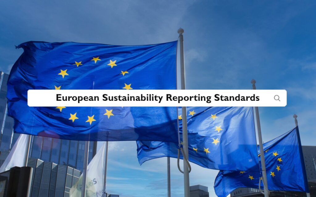 European Sustainability Reporting Standards (ESRS)