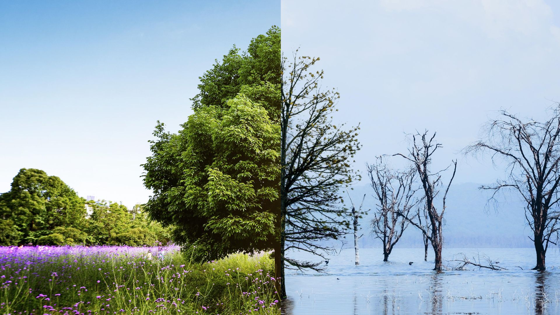 Cambio Climático en Andalucía