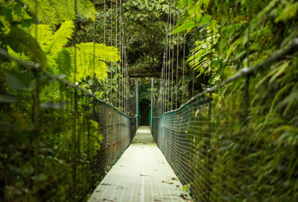 Biodiversidad Urbana con Ecoterrae