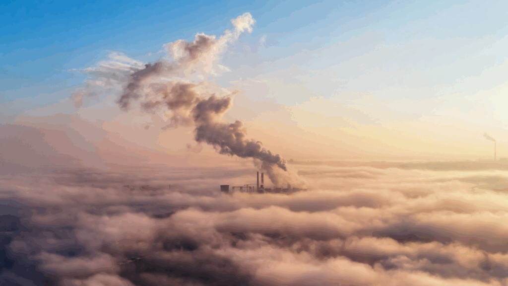 Compensa tu huella de carbono